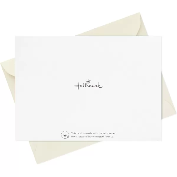 Hallmark Thank you Cards Assortment Gold Foil Solids 24 Thank You Notes with Envelopes