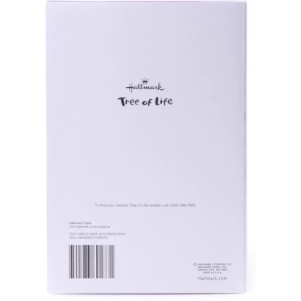 Hallmark Tree of Life Pack of 2 Bar Mitzvah Cards Mazel TovColorful Dots