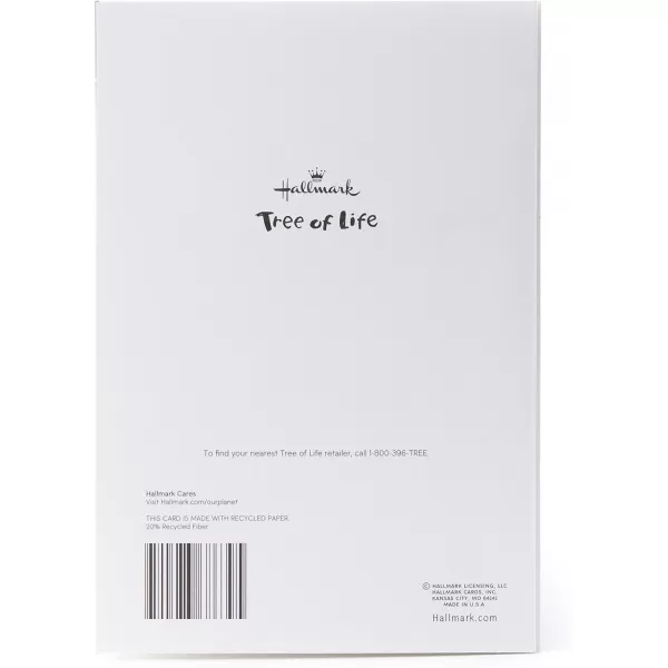 Hallmark Tree of Life Pack of 2 Bar Mitzvah Cards Mazel TovYada Yada