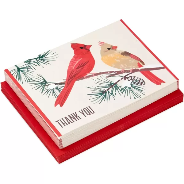 Hallmark Cardinal Thank You Notes 20 Cards with Envelopes for Christmas Holidays Winter