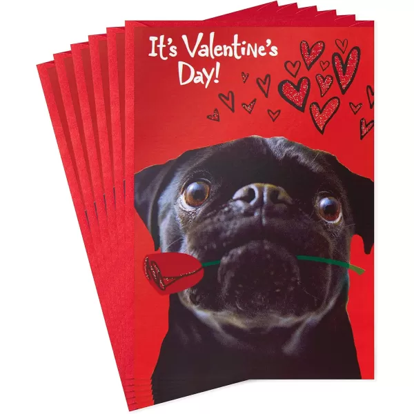 Hallmark Pack of 2 Graduation Cards with Stickers Adventure AwaitsValentines Day  Pug Dog and a Kiss