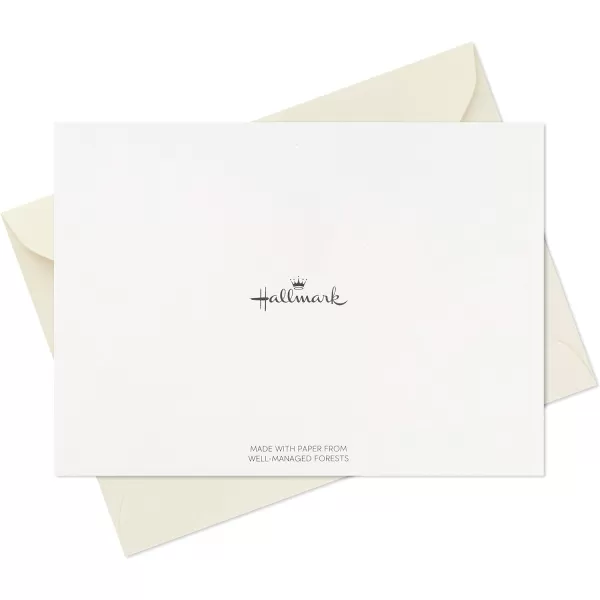 Hallmark Pack of Thank You Cards Elegant Silver Foil 40 Thank You Notes with Envelopes120 Blank Cards with Envelopes