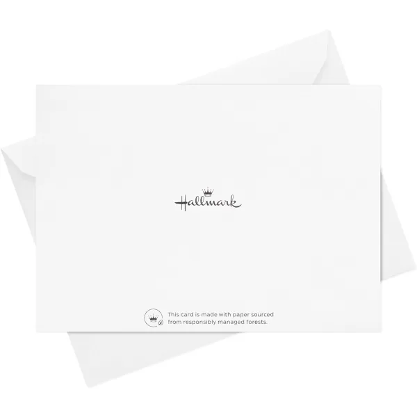 Hallmark Pack of Thank You Cards Elegant Silver Foil 40 Thank You Notes with Envelopes40 Blank Cards with Envelopes