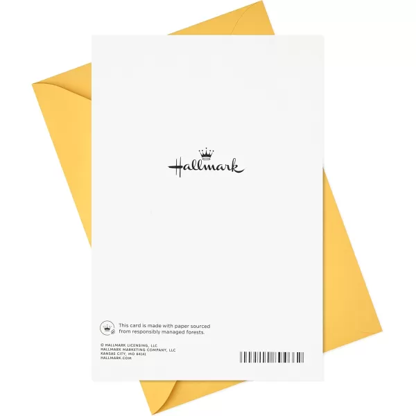 Hallmark Signature Birthday Card DeliverySomeone Like You