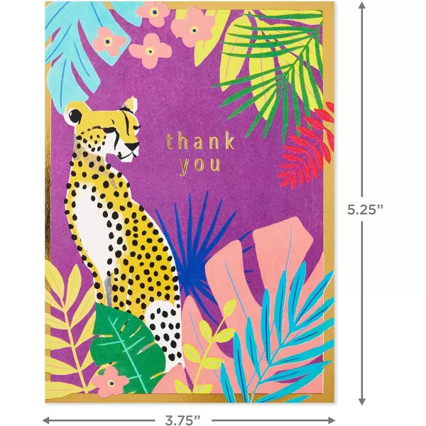 Hallmark Thank You Cards Assortment Tropical Animals 24 Assorted Thank You Notes with EnvelopesCheetahs Llamas Zebras Flamingos BirdsAnimal