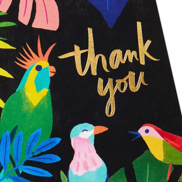 Hallmark Thank You Cards Assortment Tropical Animals 24 Assorted Thank You Notes with EnvelopesCheetahs Llamas Zebras Flamingos BirdsAnimal