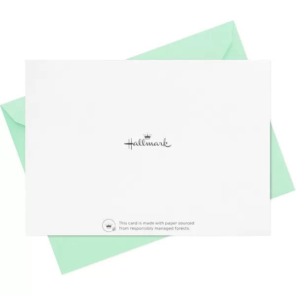 Hallmark Thank You Cards Assortment Watercolor Greenery 50 Thank You Notes and Envelopes