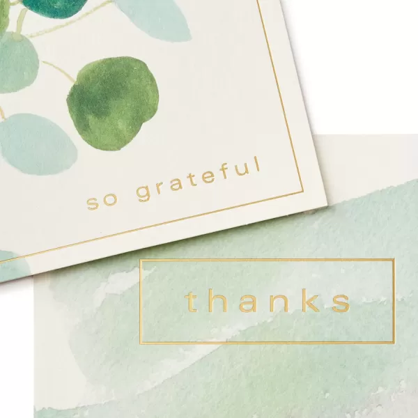 Hallmark Thank You Cards Assortment Watercolor Greenery 50 Thank You Notes and Envelopes