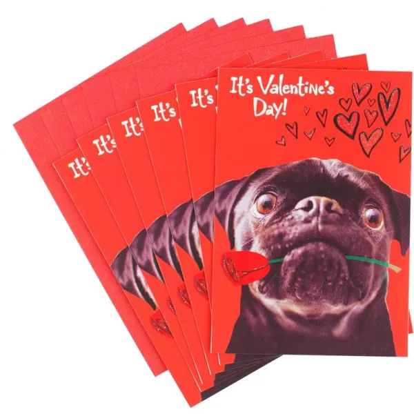 Hallmark Pack of 2 Graduation Cards with Stickers Adventure AwaitsValentines Day  Pug Dog and a Kiss