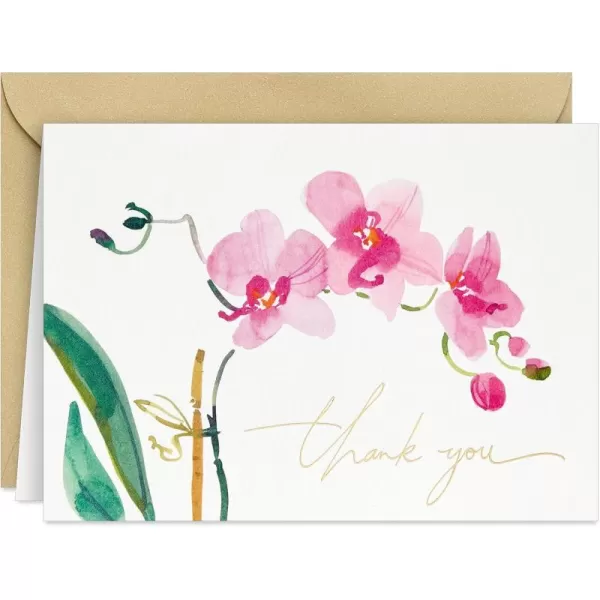 Hallmark Pink Orchid Thank You Notes 20 Blank Cards with Envelopes for Bridal Shower Baby Shower Wedding Birthday