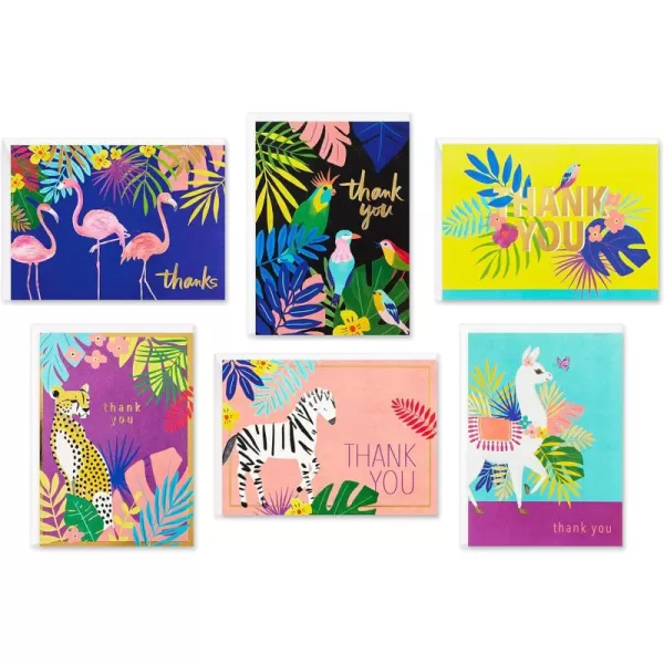 Hallmark Thank You Cards Assortment Tropical Animals 24 Assorted Thank You Notes with EnvelopesCheetahs Llamas Zebras Flamingos BirdsAnimal