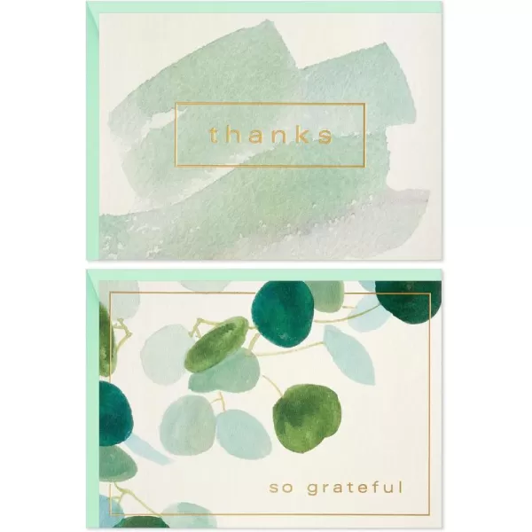 Hallmark Thank You Cards Assortment Watercolor Greenery 50 Thank You Notes and Envelopes