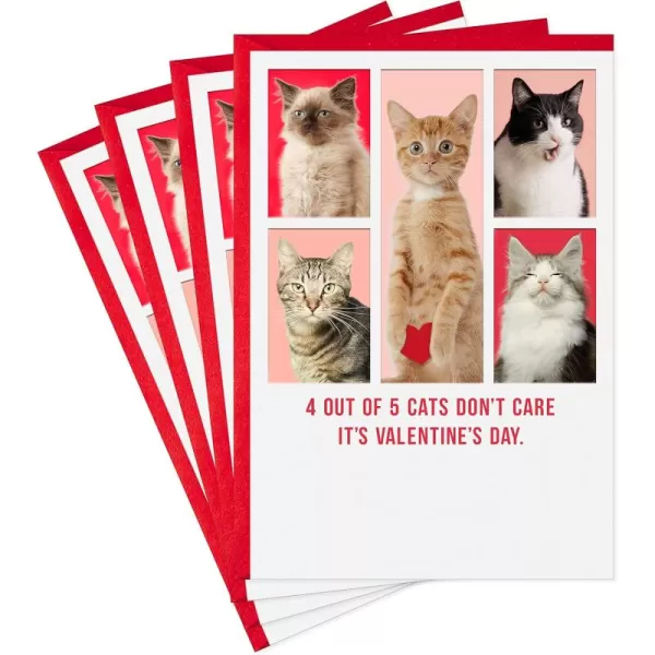 Hallmark Shoebox Funny Graduation Cards Conquer the World 6 Cards with EnvelopesValentines Day  Cats Dont Care