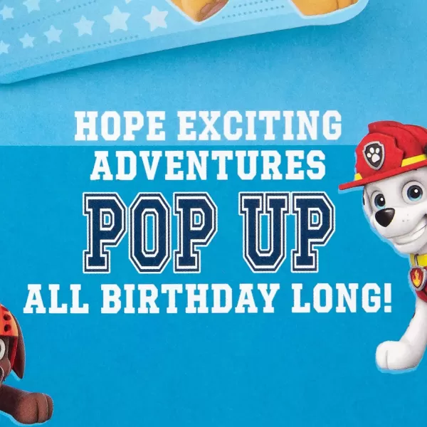 Hallmark Paw Patrol Birthday Card for Boys Born Brave