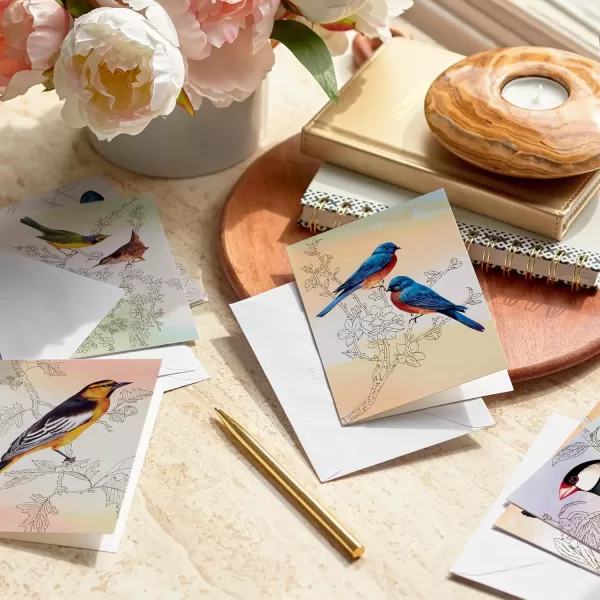 Hallmark Bird Note Card Assortment 24 Blank Cards with Envelopes Bluebird Mockingbird Sparrow Oriole Warbler