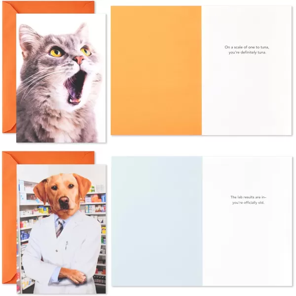 Hallmark Shoebox Funny Birthday Card Assortment 4 Cards with Envelopes Cat Dog Giraffe Raccoon