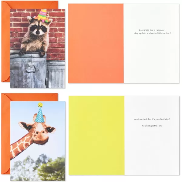 Hallmark Shoebox Funny Birthday Card Assortment 4 Cards with Envelopes Cat Dog Giraffe Raccoon