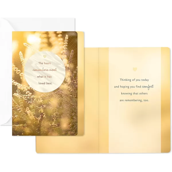 Hallmark Year of Caring Sympathy Cards Assortment 5 Cards with Envelopes5 Cards with Envelopes