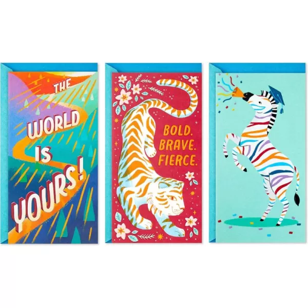 Hallmark Graduation Cards Assortment Better Future Pack of 3 Cards with EnvelopesThe World is Yours  3 Money Holder Cards