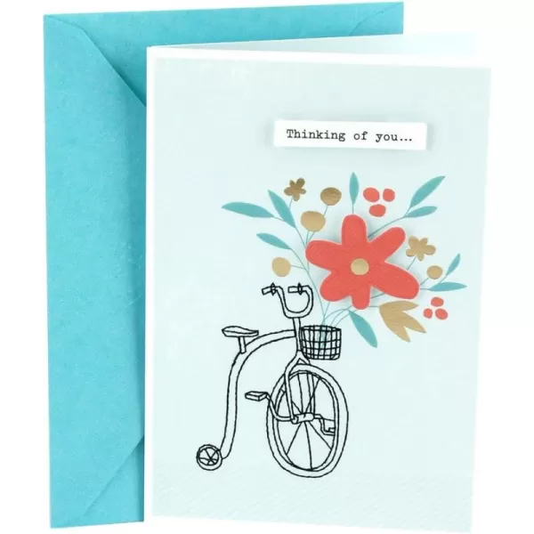 Hallmark Thinking of You Card Bicycle with Flowers 0699RZB1240Bicycle with Flowers