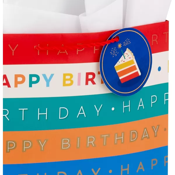 Hallmark 13quot Large Birthday Gift Bag with Tissue Paper and Birthday Card Rainbow Stripes for Kids Adults Coworkers