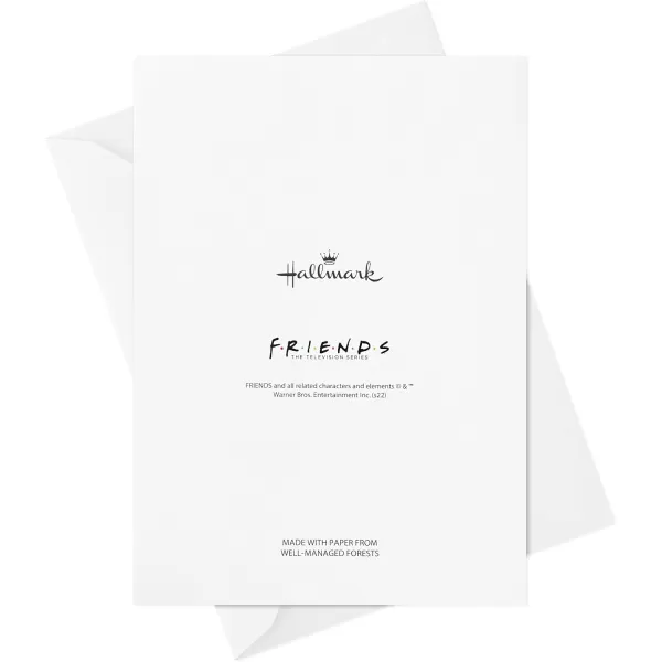 Hallmark Friends All Occasion Cards 20 Blank Cards with Envelopes How You Doin