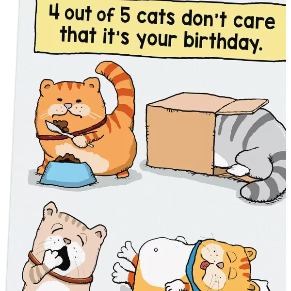 Hallmark Shoebox Funny Birthday Card Too Old for TikTokCats Dont Care  Dont Think Too Hard