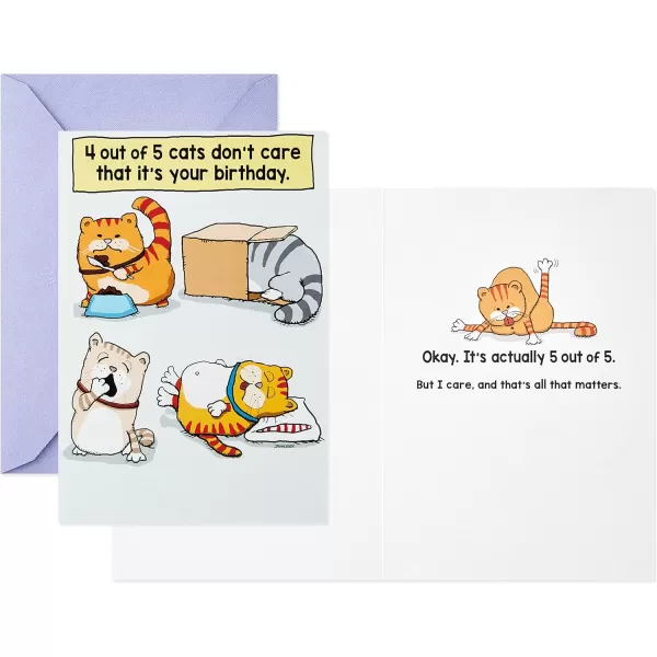 Hallmark Shoebox Funny Birthday Card Too Old for TikTokCats Dont Care  Dont Think Too Hard