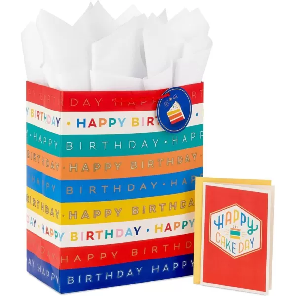 Hallmark 13quot Large Birthday Gift Bag with Tissue Paper and Birthday Card Rainbow Stripes for Kids Adults Coworkers