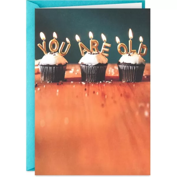 Hallmark Shoebox Funny Birthday Card You Are Old