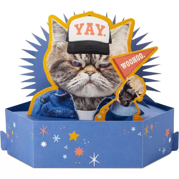 Hallmark Paper Wonder Shoebox Pop Up Card Unicorn Youre So Awesome for Birthday Graduation CongratulationsGrouchy Cat