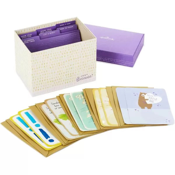 Hallmark Just Because Cards Assortment with Card Organizer Box Pack of 10Congratulations Sympathy Thinking of You Friendship