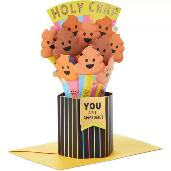 Hallmark Paper Wonder Shoebox Pop Up Card Holy Crap You are Awesome for Birthday Congratulations Graduation All OccasionHoly Crap  You are Awesome