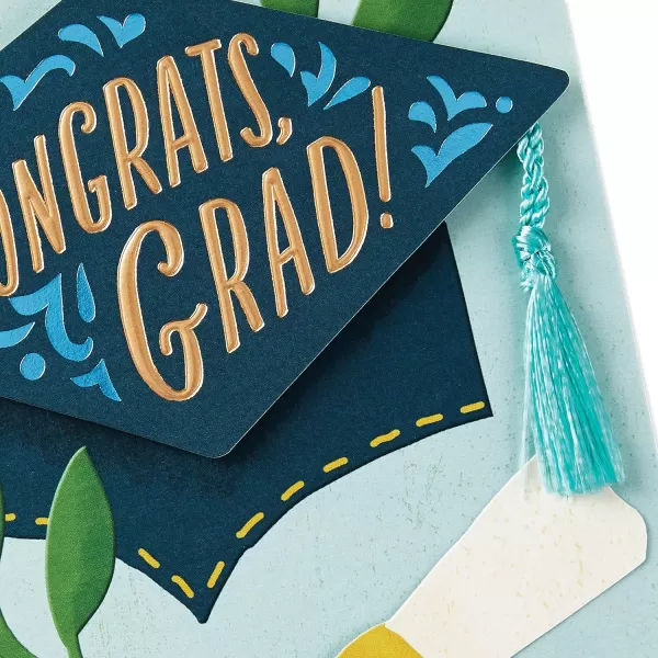 Hallmark Graduation Card So Much to CelebrateSo Much to Celebrate