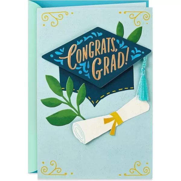 Hallmark Graduation Card So Much to CelebrateSo Much to Celebrate