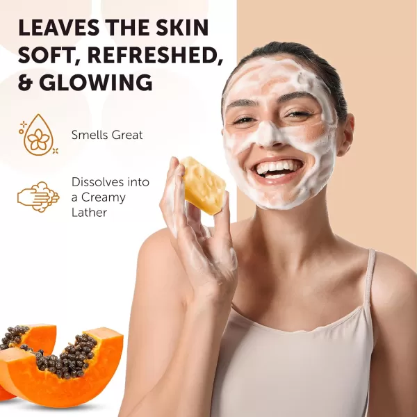VALITIC Papaya and Turmeric Kojic Acid Soap Bar  Dark Spot Corrector Skin Care Cleansing Bar  Infused with Vitamin C Hyaluronic Acid Collagen Retinol Olive Oil  2 Pack2 Pack  2 Pack  Holder