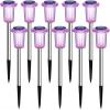 image:imageDenicMic Solar Lights Outdoor 10 Pack Waterproof Pink LED Stainless Steel Stake Outside Lights for Yard Pathway Garden Driveway Walkway Landscape Path Lighting Mothers Day Gifts for MomPurple 10Pack
