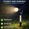 image:imageDenicMic Solar Lights Outdoor Waterproof Adjustable Solar Spot Lights Outdoor 3000K Warm White Lens LED for Yard Garden Patio Pathway Flag Tree House Landscape Lighting Outside 2 PackWarm 2Pack