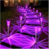 Purple 10Pack