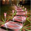 image:imageDenicMic Solar Lights Outdoor 10 Pack Waterproof Pink LED Stainless Steel Stake Outside Lights for Yard Pathway Garden Driveway Walkway Landscape Path Lighting Mothers Day Gifts for MomRed White 10Pack