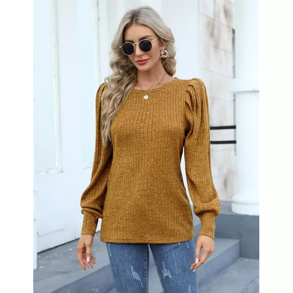 HOTOUCH Womens Knit Blouse Soft Puff Long Sleeve Shirt Tops Lightweight Round Neck Pullover Sweater SXXLAmber