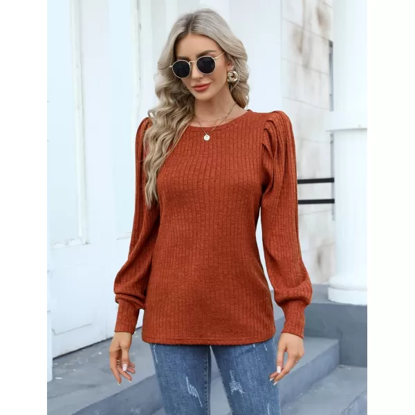 HOTOUCH Womens Knit Blouse Soft Puff Long Sleeve Shirt Tops Lightweight Round Neck Pullover Sweater SXXLCaramel