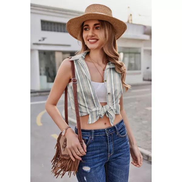 HOTOUCH Womens Sleeveless Button Down Shirt Collared Cotton Linen Blouse Casual Office Shirts Basic Tank TopBlue Striped
