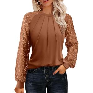 imageHOTOUCH Womens Lace Long Sleeve Tops Dressy Casual Blouses Pleated Work Shirts S3XLBrick Red
