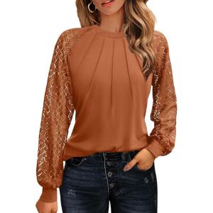 imageHOTOUCH Womens Lace Long Sleeve Tops Dressy Casual Blouses Pleated Work Shirts S3XLCaramel