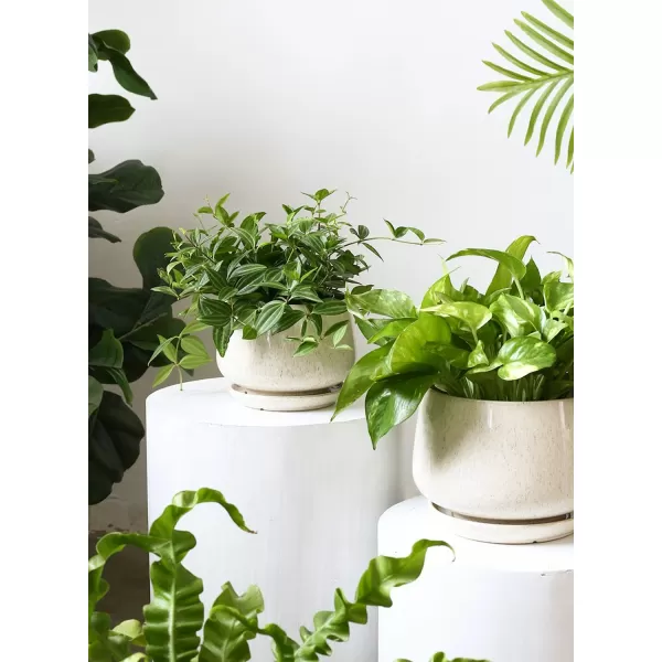 imageLE TAUCI Plant Pots 415165 inch Set of 3 Ceramic Planters with Drainage Hole and Saucer Indoor Flower Pot with Hole Mesh Pad Gifts for Mom BlackReactive Glaze Beige