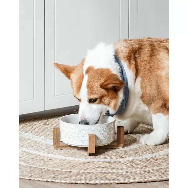 imageLE TAUCI Dog Food Bowls 3 Cups Ceramic Dog Bowls with Acacia Wood Stand Water Bowl for Small Medium Sized Dog Modern Dog Food Dishes Pet BowlsFireworks