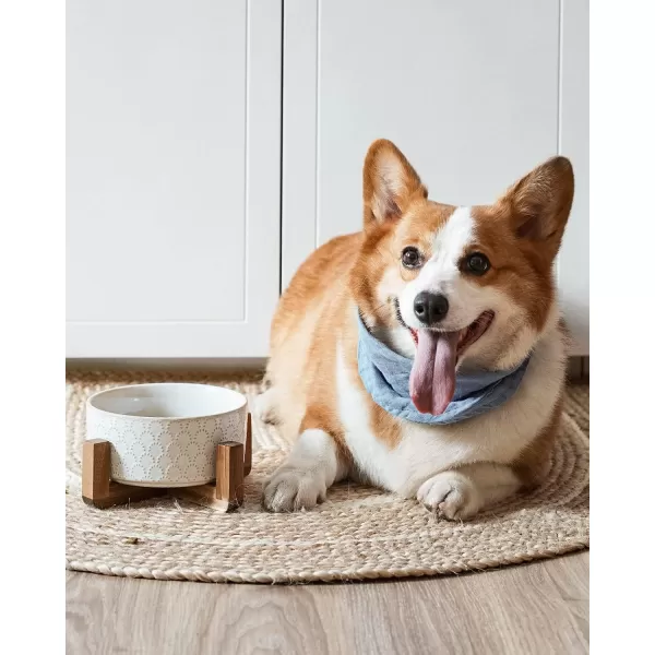 imageLE TAUCI Dog Food Bowls 3 Cups Ceramic Dog Bowls with Acacia Wood Stand Water Bowl for Small Medium Sized Dog Modern Dog Food Dishes Pet BowlsFireworks
