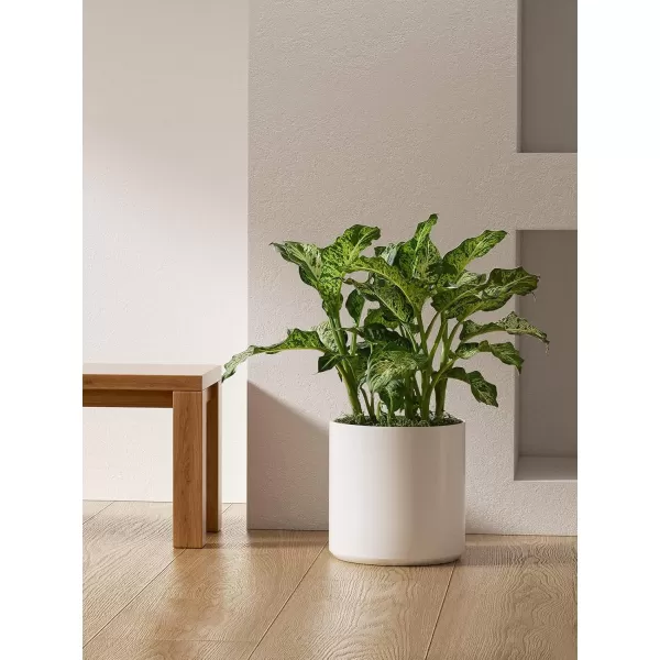imageLE TAUCI 12 Inch Pots for Plants Ceramic Large Plant Pot for Indoor Plants MidCentury Modern Flower Planter Pots with Drainage Hole and Removable Plug Round Planter Pot Reactive Glaze Cloud CreamWhite