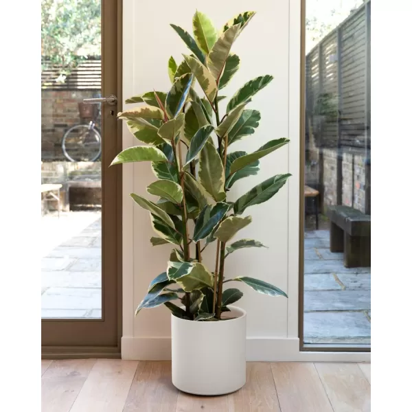 imageLE TAUCI 12 Inch Pots for Plants Ceramic Large Plant Pot for Indoor Plants MidCentury Modern Flower Planter Pots with Drainage Hole and Removable Plug Round Planter Pot Reactive Glaze Cloud CreamWhite